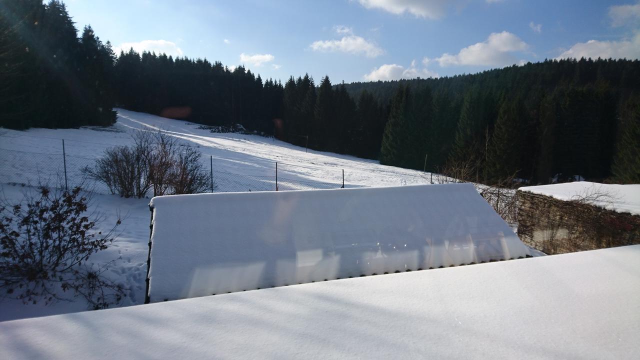 Quellenhof Altenau Altenau  Luaran gambar